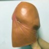 Full face latex mask - for adults - funny penis shaped - Halloween / masquerades