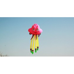 Large jellyfish - 3D octopus - kite - 5 m