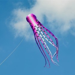 Large octopus - kite - inflatable - with line - 15m / 23m / 30m