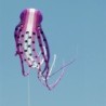 Large octopus - kite - inflatable - with line - 15m / 23m / 30m