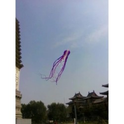 Large octopus - kite - inflatable - with line - 15m / 23m / 30m