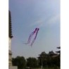 Large octopus - kite - inflatable - with line - 15m / 23m / 30m
