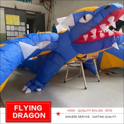 3D flying dragon - kite - 6.5m