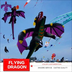 3D flying dragon - kite - 6.5m