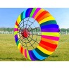 Colorful rainbow with spider - large kite - 2.5m