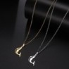 Jumping dolphin pendant - with chain - stainless steelNecklaces