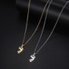 Elegant necklace with dolphinNecklaces