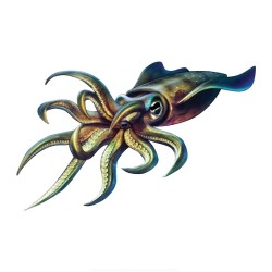 Adesivo de carro - peixe diabo - à prova d'água