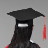 Chapéu / vestido - traje - conjunto para formatura escolar - para crianças