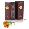 Rosa banhada em ouro 24k - com suporte - aniversário/dia dos namorados/presente de casamento