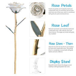 Rosa banhada em ouro 24k - com suporte - aniversário/dia dos namorados/presente de casamento