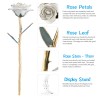 Rosa banhada em ouro 24k - com suporte - aniversário/dia dos namorados/presente de casamento