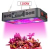 Plant grow lamp - full spectrum - hydroponic - LED COB light - 1220W / 2400W / 3600WGrow Lights