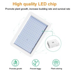 Lâmpada de cultivo de plantas - espectro completo - luz LED - à prova d'água - 5000W / 8000W