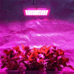 Lâmpada de cultivo de plantas - painel hidropônico LED - 300W / 600W