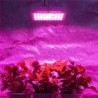 Lâmpada de cultivo de plantas - painel hidropônico LED - 300W / 600W