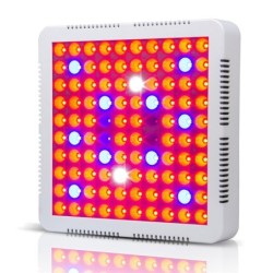 Lâmpada de cultivo de plantas - painel hidropônico LED - 300W / 600W