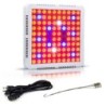Lâmpada de cultivo de plantas - painel hidropônico LED - 300W / 600W