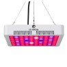 Lâmpada de cultivo de plantas - painel hidropônico LED - 300W / 600W