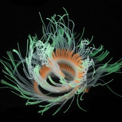 Flexible silicone coral / anemone - glowing in dark - aquarium decorationAquarium