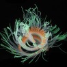 Flexible silicone coral / anemone - glowing in dark - aquarium decorationAquarium