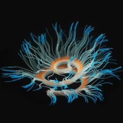 Coral / anêmona de silicone flexível - brilhando no escuro - decoração de aquário