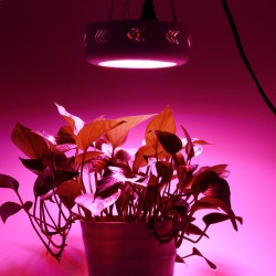135W - Luz de crescimento LED - 3500 lúmens de espectro completo - ufo - redondo