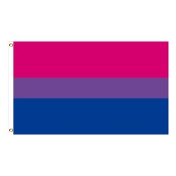 Banner pendurado - bandeira - LGBT / transgênero / pansexual / progresso / ORGULHO / arco-íris