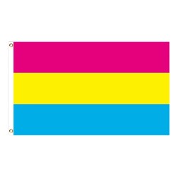 Banner pendurado - bandeira - LGBT / transgênero / pansexual / progresso / ORGULHO / arco-íris
