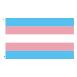 Banner pendurado - bandeira - LGBT / transgênero / pansexual / progresso / ORGULHO / arco-íris