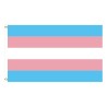 Banner pendurado - bandeira - LGBT / transgênero / pansexual / progresso / ORGULHO / arco-íris