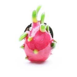 Broche elegante com uma fruta do dragão