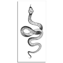 Adesivo de tatuagem temporária - cobra preta / rosas - à prova d'água