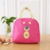 Insulated picnic / lunch bag - waterproof - thickened aluminum foil - cartoon printBags
