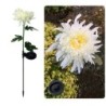 Lâmpada em forma de flor de crisântemo - luz de jardim - solar - LED - à prova d'água