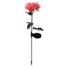 Chrysanthemum flower shaped lamp - garden light - solar - LED - waterproofSolar lighting
