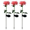Chrysanthemum flower shaped lamp - garden light - solar - LED - waterproofSolar lighting