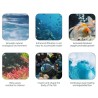 ALW - wave making pump - aquarium water pump - filter - ultra quiet - WiFi - app controlAquarium
