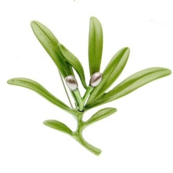 Broche elegante com azeitona verde