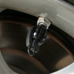 Universal tire valves caps - aluminum - hand grenade shaped - 4 piecesValve caps