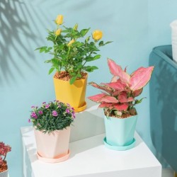 Geometric flower pot - plastic resinGarden