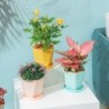 Geometric flower pot - plastic resinGarden