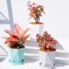 Geometric flower pot - plastic resinGarden