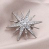 Luxurious star shaped brooch - cubic zirconiaBrooches