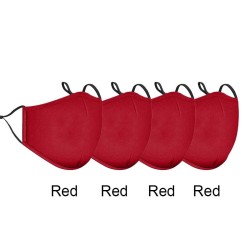 Face / mouth masks - reusable - anti bacterial - with PM 2.5 filter - 4 piecesMouth masks