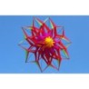 Pipa esportiva / praia - flor 3D - com cabo / linha