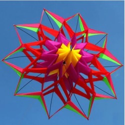 Sports / beach kite - 3D flower - with handle / lineKites