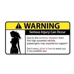 Adesivo de carro engraçado - "Sexy Girl Warning Serious Injury Can Occur"