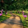 Garden solar light - LED lamp - waterproof - flamingoSolar lighting