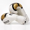 Professional boxing gloves - unisexEquipment